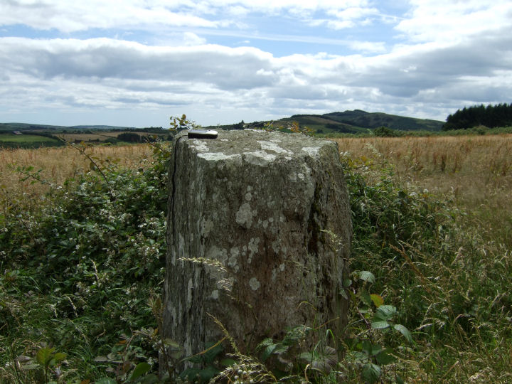 Image of Knockawaddra W (Stone Row / Alignment) by gjrk