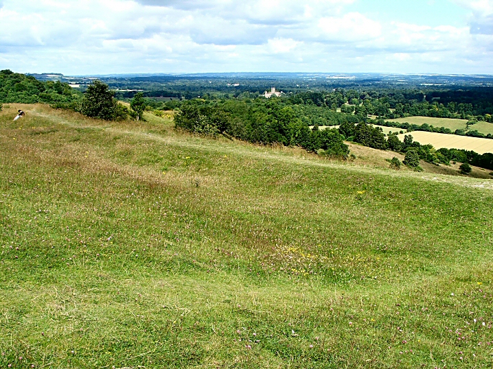 Image of Beacon Hill (Hillfort) by jimit