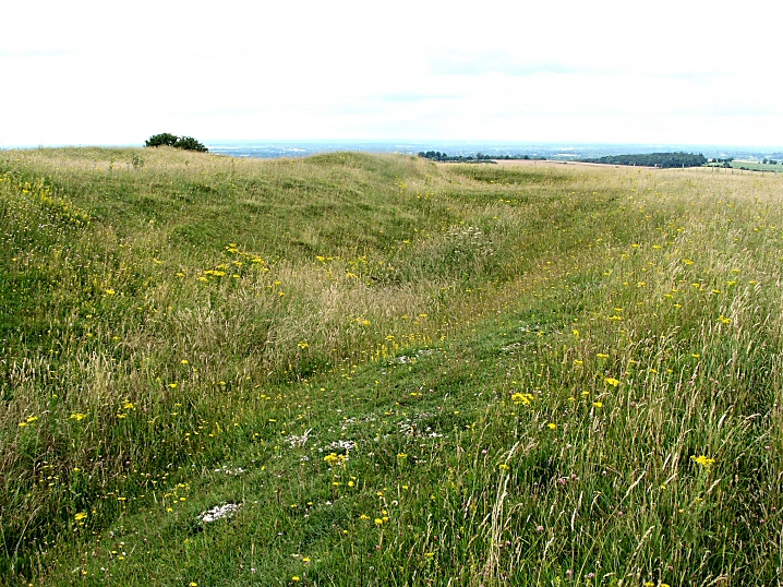 Image of Ladle Hill (Hillfort) by jimit