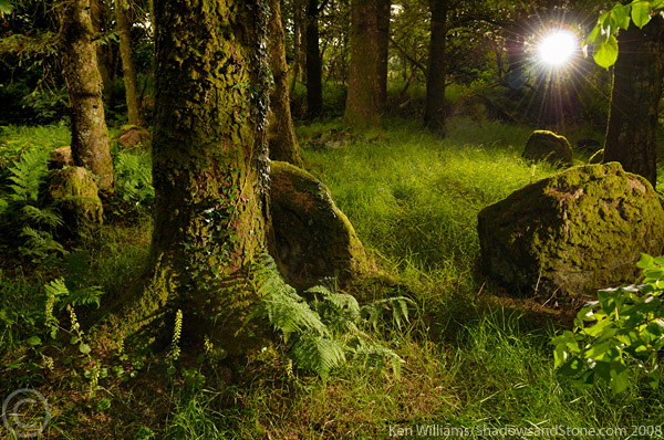 Image of Glantane East S (Stone Circle) by CianMcLiam