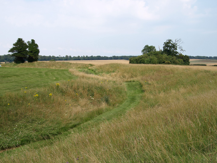 Image of Knowlton Henges by formicaant