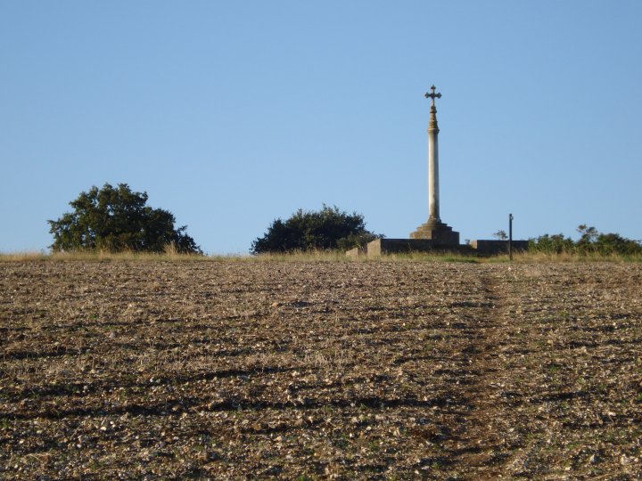 Image of Grim’s Ditch (Dyke) by Chance