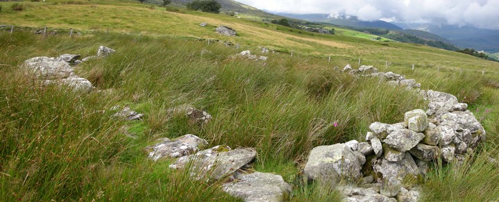 Image of Cefn Glas 1 (Cairn(s)) by caealun