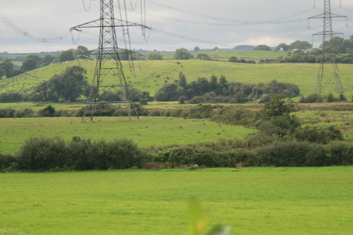 Image of Meini Llwydion (Llangynog) (Standing Stones) by postman