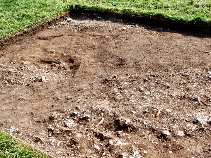 Image of The Avenue (Ancient Trackway) by jimit