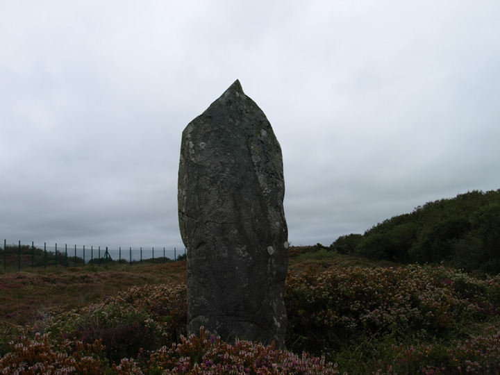 Image of Dry Tree Menhir by formicaant