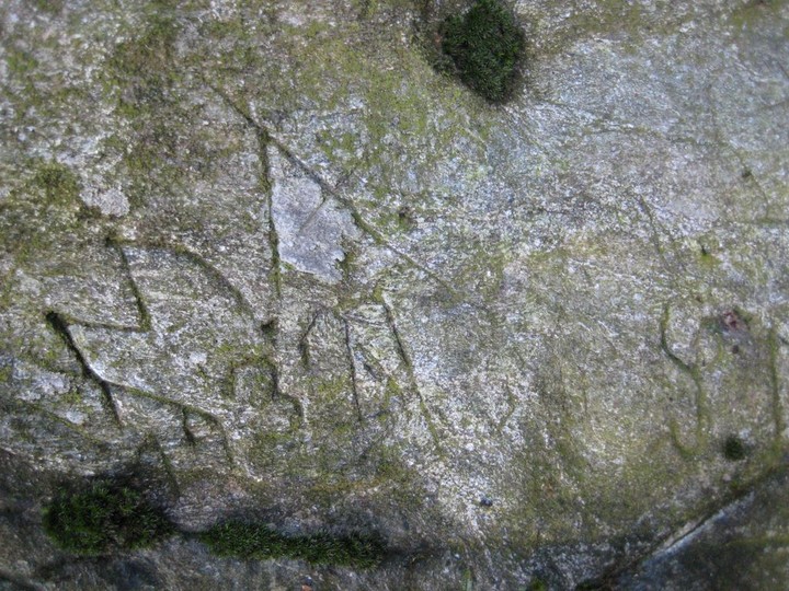 Image of Rio della Biscia’s valley. Second rock of the path (Engraved stone) by Ligurian Tommy Leggy