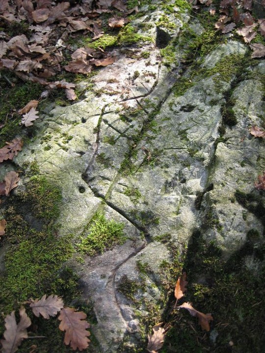 Image of Rio della Biscia’s valley. Second rock of the path (Engraved stone) by Ligurian Tommy Leggy