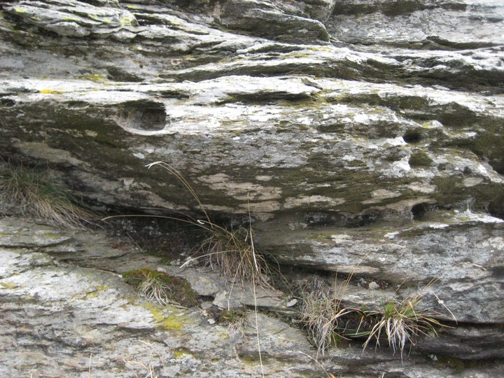 Image of Mount Ermetta (Cup Marked Stone) by Ligurian Tommy Leggy