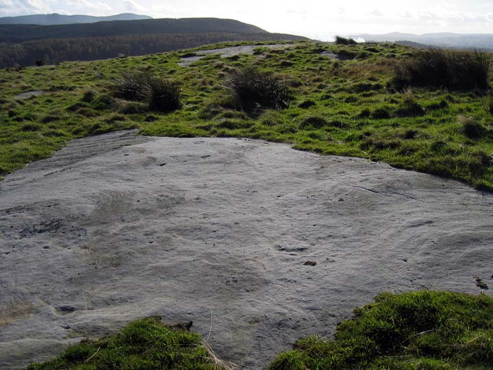 Image of Chatton (Cup and Ring Marks / Rock Art) by rockandy