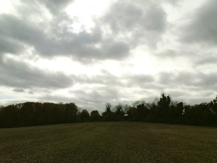 Image of Love Lane (Round Barrow(s)) by UncleRob