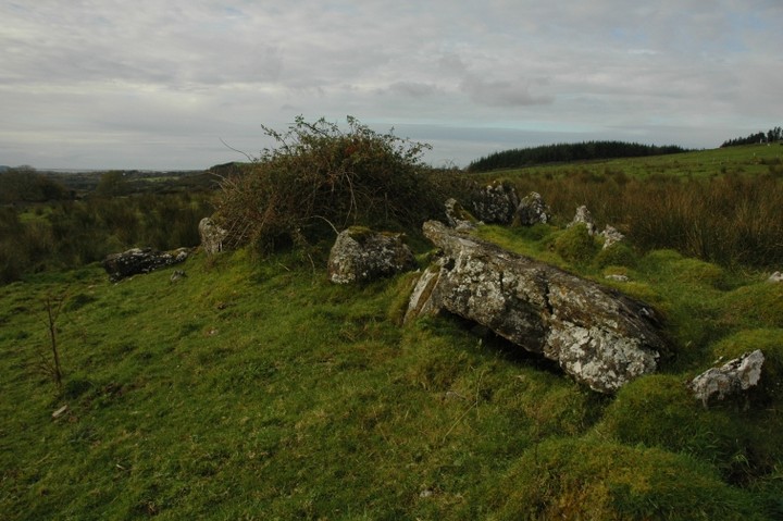 Image of Magheraghanrush Wedge Tomb by ryaner