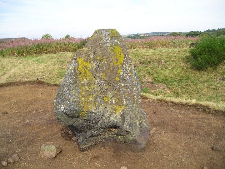 Image of Broomend of Crichie (Henge) by tiompan