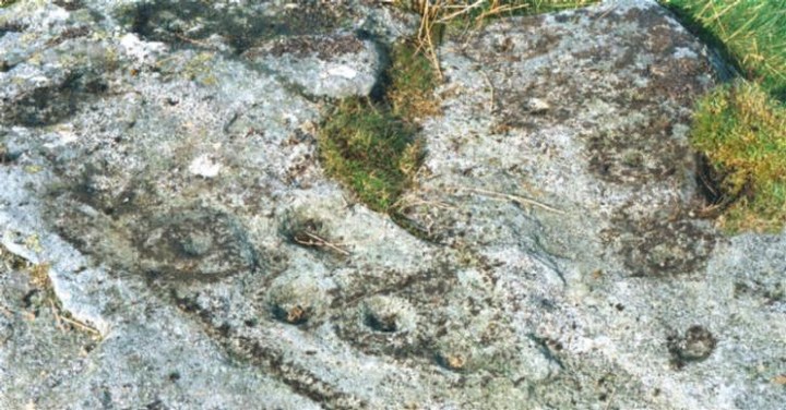 Image of Goldsborough Rigg (Cup and Ring Marks / Rock Art) by fitzcoraldo
