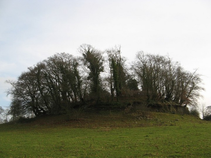 Image of Ardmayle (Artificial Mound) by bawn79