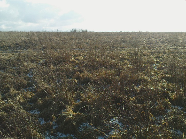 Image of Farley Mount Enclosure by UncleRob