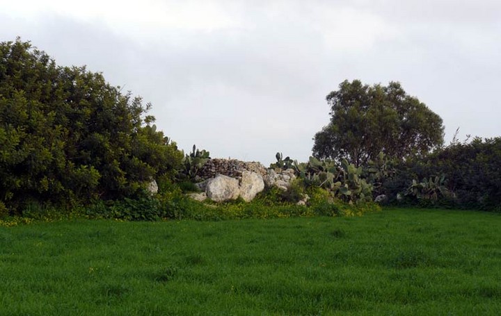Image of Ta’ Marziena (Ancient Temple) by baza
