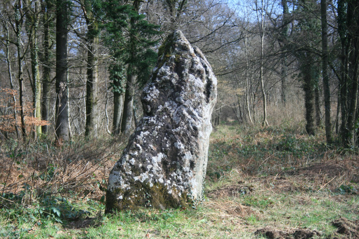 Image of Long Stone (Staunton) (Standing Stone / Menhir) by postman