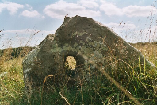 Image of Overton Down Holed Stone and Beaker Settlement by RedBrickDream