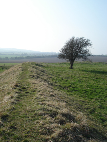 Image of Alfred’s Castle (Hillfort) by ginger tt