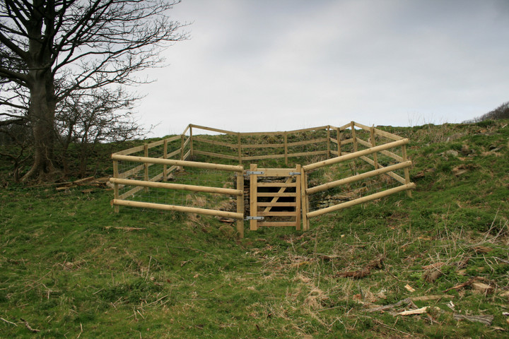 Image of Bryn-yr-Hen-Bobl (Chambered Cairn) by postman