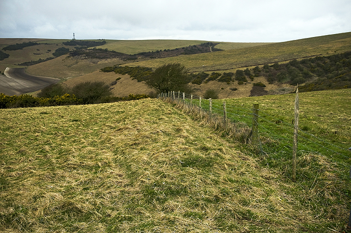 Image of Castle Hill (Woodingdean) (Enclosure) by A R Cane