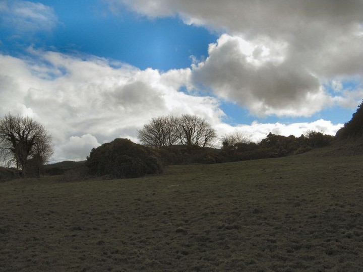 Image of Kilfinnane (Artificial Mound) by bawn79