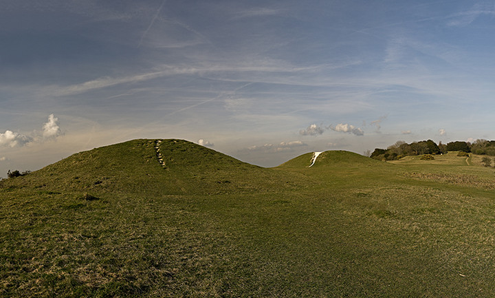 Image of Kingley Vale (Barrow / Cairn Cemetery) by A R Cane
