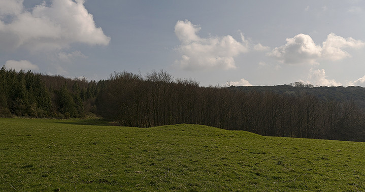 Image of Stoughton Down (Long Barrow) by A R Cane