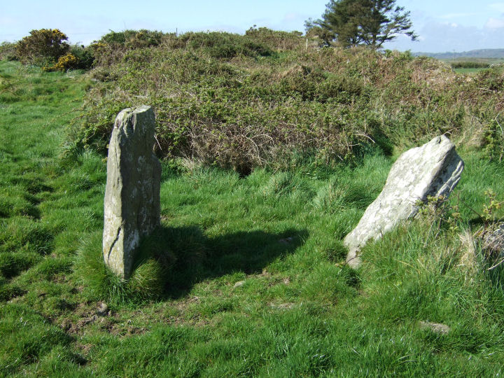 Image of Carrigillihy (Standing Stones) by gjrk