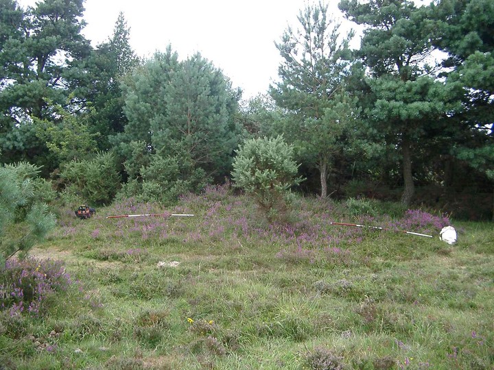 Image of Jacob’s Barrow (Round Barrow) by MartinStraw