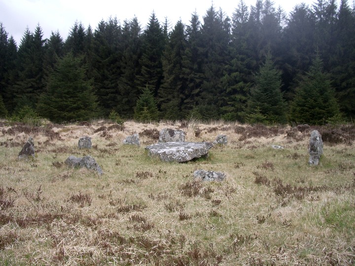 Image of Bellever (Ancient Village / Settlement / Misc. Earthwork) by Billy Fear