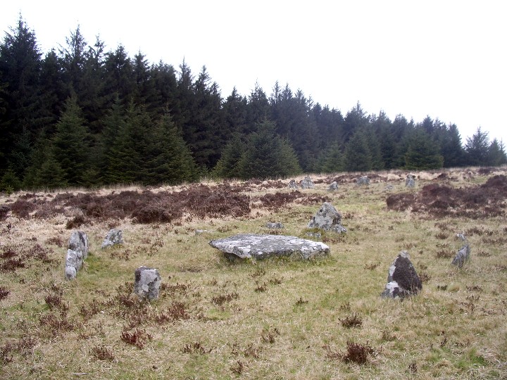 Image of Bellever (Ancient Village / Settlement / Misc. Earthwork) by Billy Fear