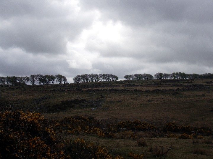 Image of Roundy Park (Ancient Village / Settlement / Misc. Earthwork) by Billy Fear