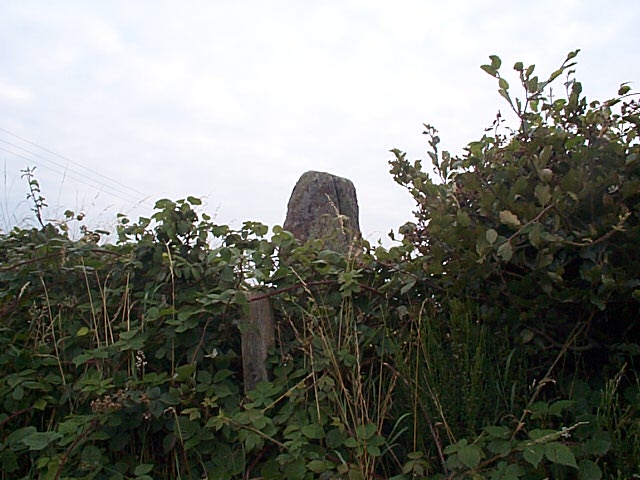 Image of Auchterarder (Standing Stones) by Chris