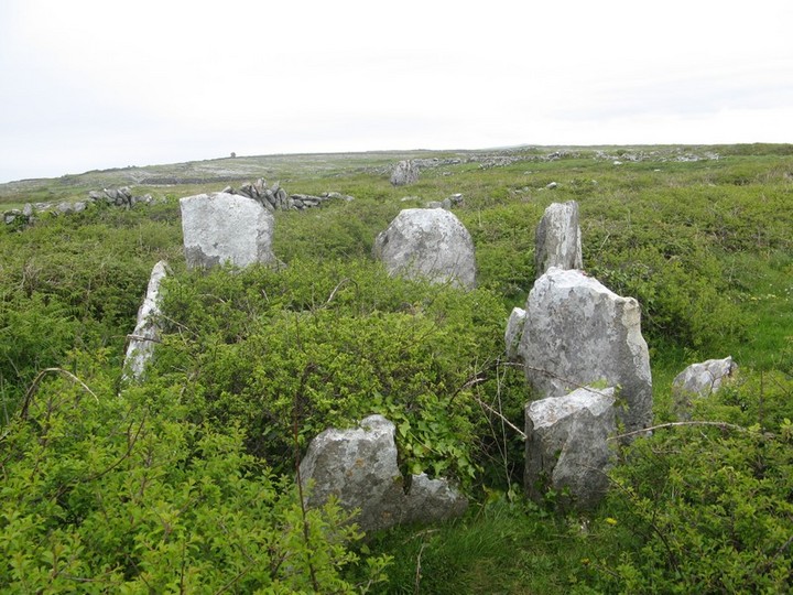 Image of Teergonean (Court Tomb) by bawn79