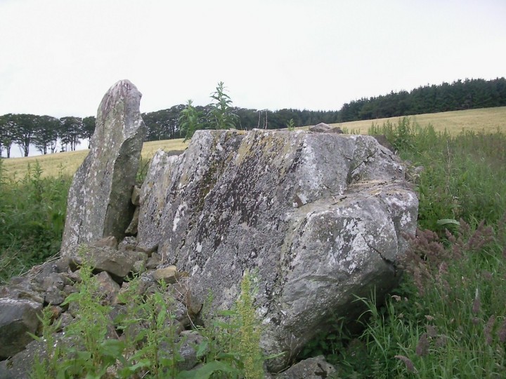 Image of Cairnton (Stone Circle) by drewbhoy