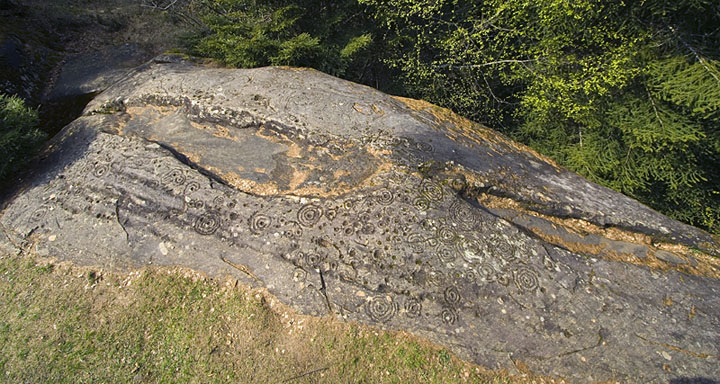 Image of Crap Carschenna (Cup and Ring Marks / Rock Art) by Hob