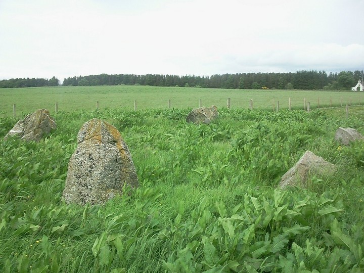 Image of Backhill of Drachlaw (Stone Circle) by drewbhoy