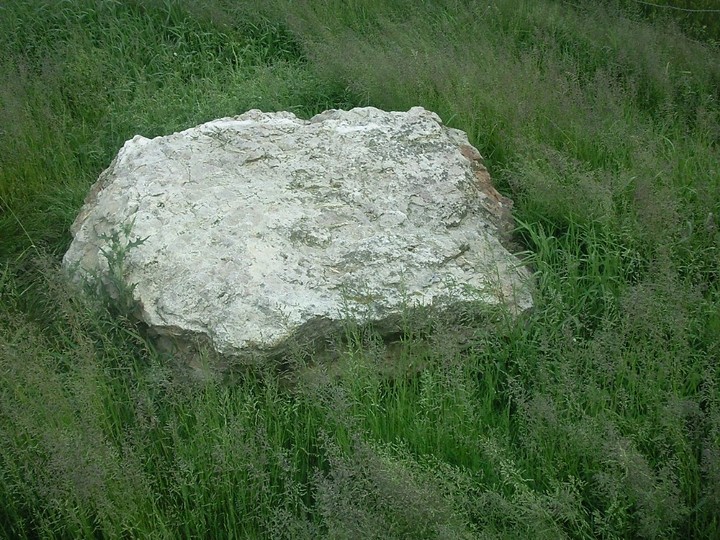 Image of Burreldales (Stone Circle) by drewbhoy