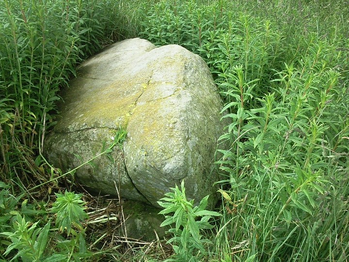 Image of Old Rayne (Stone Circle) by drewbhoy