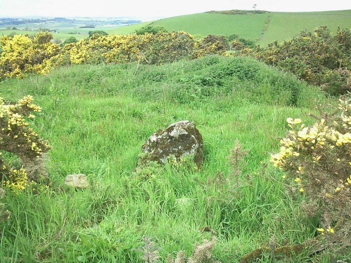 Image of Little Hillbrae (Cairn(s)) by drewbhoy