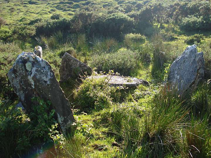 Image of Baurgorm (Stone Circle) by Nucleus