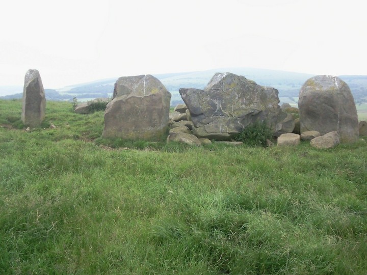 Image of Ardlair (Stone Circle) by drewbhoy