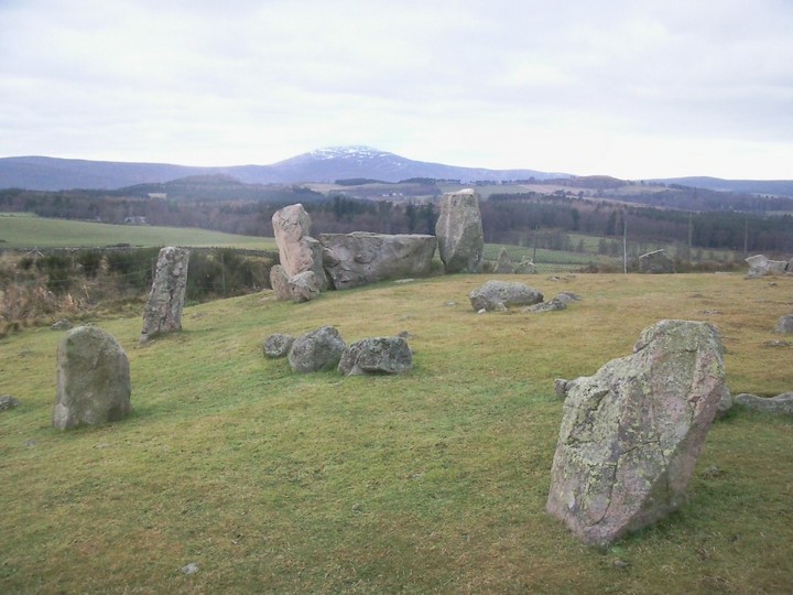 Image of Tomnaverie (Stone Circle) by drewbhoy