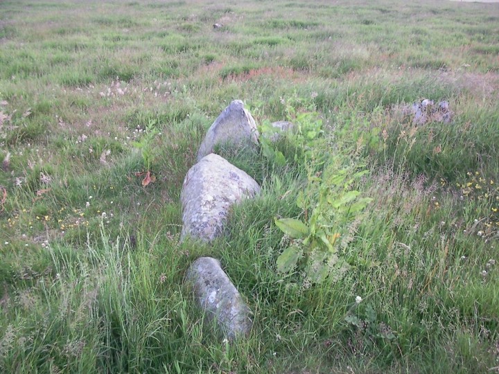 Image of Ardlaw Hill (Kerbed Cairn) by drewbhoy