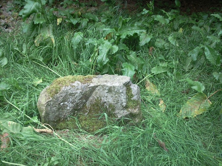 Image of North Burreldales (Stone Circle) by drewbhoy