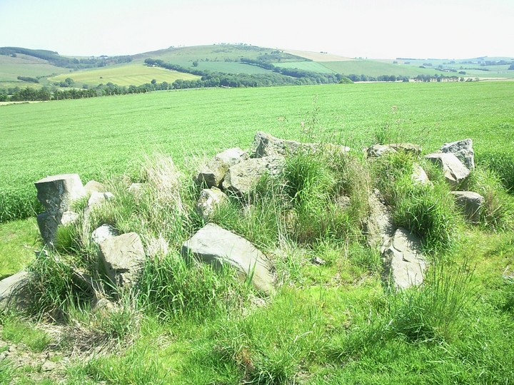Image of Raich (Stone Circle) by drewbhoy