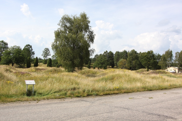 Image of Kånna högar (Barrow / Cairn Cemetery) by L-M K