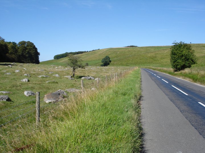 Image of Ashdown Park Sarsens (Natural Rock Feature) by Chance